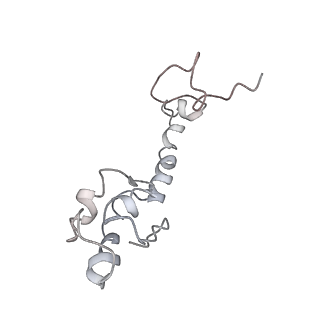 21857_6wnv_R_v1-0
70S ribosome without free 5S rRNA and with a perturbed PTC