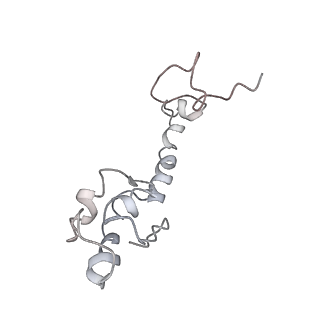 21857_6wnv_R_v1-1
70S ribosome without free 5S rRNA and with a perturbed PTC