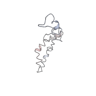 21857_6wnv_S_v1-1
70S ribosome without free 5S rRNA and with a perturbed PTC