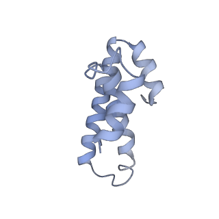 21857_6wnv_T_v1-0
70S ribosome without free 5S rRNA and with a perturbed PTC