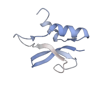 21857_6wnv_U_v1-0
70S ribosome without free 5S rRNA and with a perturbed PTC