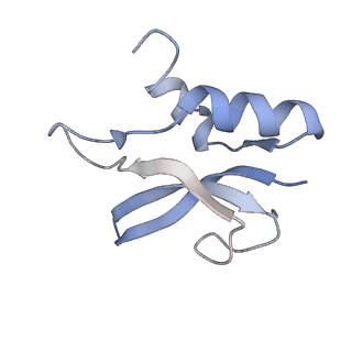 21857_6wnv_U_v1-1
70S ribosome without free 5S rRNA and with a perturbed PTC