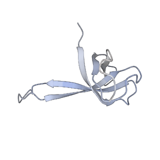 21857_6wnv_V_v1-1
70S ribosome without free 5S rRNA and with a perturbed PTC