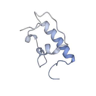 21857_6wnv_W_v1-0
70S ribosome without free 5S rRNA and with a perturbed PTC