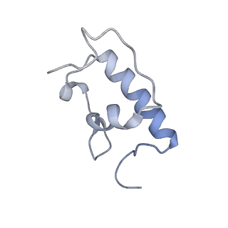 21857_6wnv_W_v1-1
70S ribosome without free 5S rRNA and with a perturbed PTC