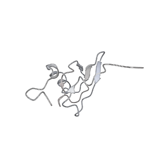 21857_6wnv_X_v1-0
70S ribosome without free 5S rRNA and with a perturbed PTC
