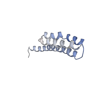 21857_6wnv_Y_v1-0
70S ribosome without free 5S rRNA and with a perturbed PTC