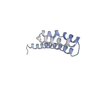 21857_6wnv_Y_v1-1
70S ribosome without free 5S rRNA and with a perturbed PTC