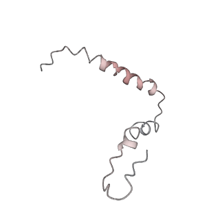 21857_6wnv_Z_v1-0
70S ribosome without free 5S rRNA and with a perturbed PTC