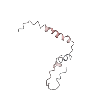 21857_6wnv_Z_v1-1
70S ribosome without free 5S rRNA and with a perturbed PTC