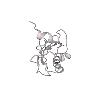 21857_6wnv_a_v1-0
70S ribosome without free 5S rRNA and with a perturbed PTC