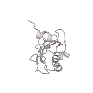 21857_6wnv_a_v1-1
70S ribosome without free 5S rRNA and with a perturbed PTC