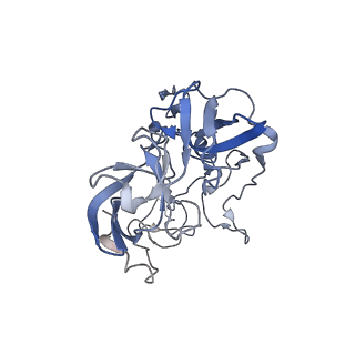 21857_6wnv_b_v1-0
70S ribosome without free 5S rRNA and with a perturbed PTC