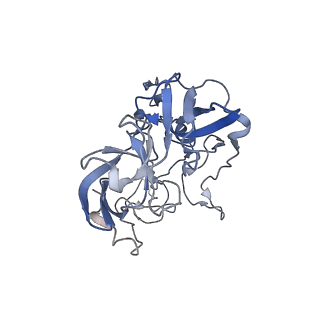 21857_6wnv_b_v1-1
70S ribosome without free 5S rRNA and with a perturbed PTC