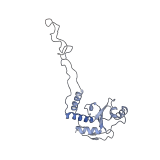 21857_6wnv_d_v1-0
70S ribosome without free 5S rRNA and with a perturbed PTC