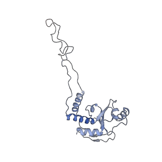 21857_6wnv_d_v1-1
70S ribosome without free 5S rRNA and with a perturbed PTC