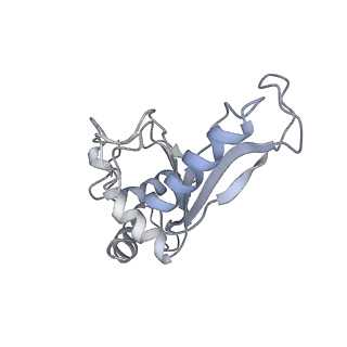 21857_6wnv_e_v1-0
70S ribosome without free 5S rRNA and with a perturbed PTC