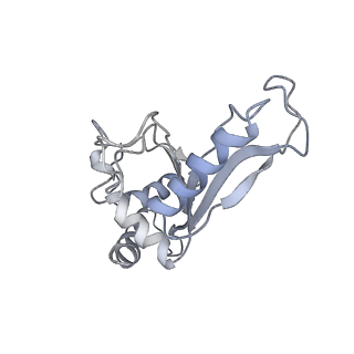 21857_6wnv_e_v1-1
70S ribosome without free 5S rRNA and with a perturbed PTC