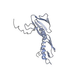 21857_6wnv_f_v1-0
70S ribosome without free 5S rRNA and with a perturbed PTC