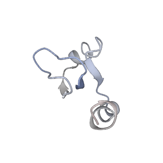 21857_6wnv_g_v1-1
70S ribosome without free 5S rRNA and with a perturbed PTC