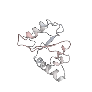 21857_6wnv_h_v1-0
70S ribosome without free 5S rRNA and with a perturbed PTC