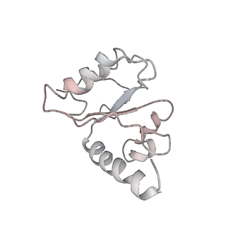 21857_6wnv_h_v1-1
70S ribosome without free 5S rRNA and with a perturbed PTC