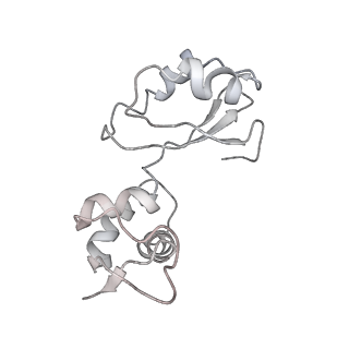 21857_6wnv_i_v1-0
70S ribosome without free 5S rRNA and with a perturbed PTC