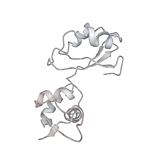 21857_6wnv_i_v1-1
70S ribosome without free 5S rRNA and with a perturbed PTC