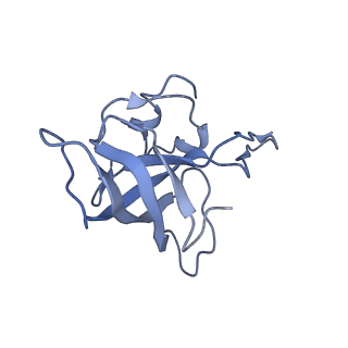 21857_6wnv_k_v1-0
70S ribosome without free 5S rRNA and with a perturbed PTC