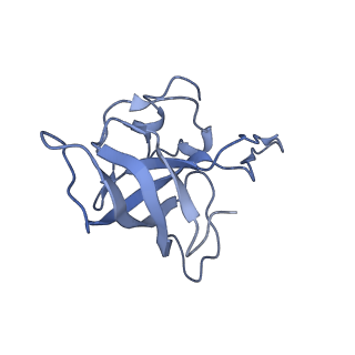 21857_6wnv_k_v1-1
70S ribosome without free 5S rRNA and with a perturbed PTC