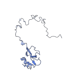 21857_6wnv_l_v1-1
70S ribosome without free 5S rRNA and with a perturbed PTC