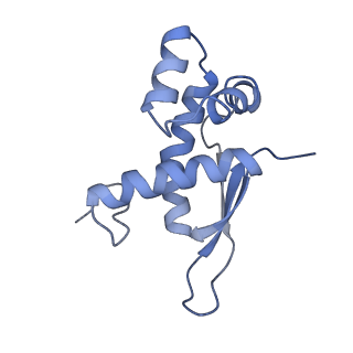 21857_6wnv_n_v1-0
70S ribosome without free 5S rRNA and with a perturbed PTC