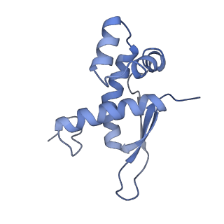 21857_6wnv_n_v1-1
70S ribosome without free 5S rRNA and with a perturbed PTC