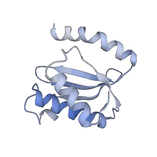 21857_6wnv_o_v1-0
70S ribosome without free 5S rRNA and with a perturbed PTC