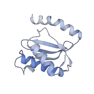 21857_6wnv_o_v1-1
70S ribosome without free 5S rRNA and with a perturbed PTC