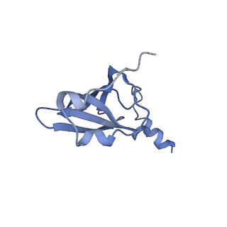 21857_6wnv_p_v1-0
70S ribosome without free 5S rRNA and with a perturbed PTC