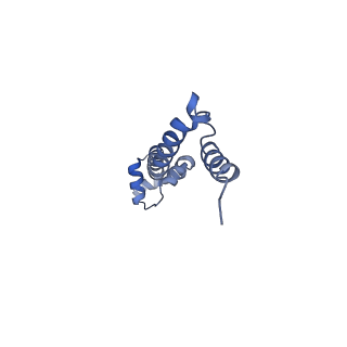 21857_6wnv_q_v1-0
70S ribosome without free 5S rRNA and with a perturbed PTC