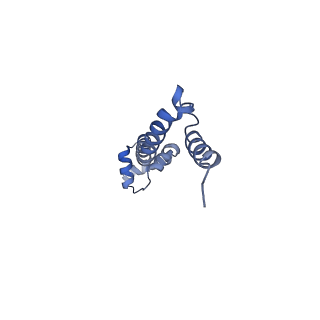 21857_6wnv_q_v1-1
70S ribosome without free 5S rRNA and with a perturbed PTC