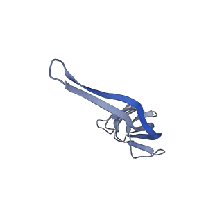 21857_6wnv_r_v1-1
70S ribosome without free 5S rRNA and with a perturbed PTC