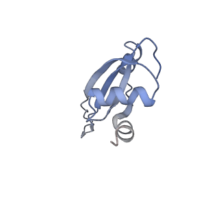 21857_6wnv_t_v1-0
70S ribosome without free 5S rRNA and with a perturbed PTC