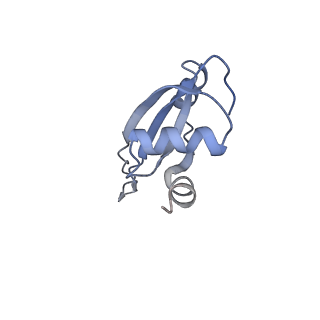 21857_6wnv_t_v1-1
70S ribosome without free 5S rRNA and with a perturbed PTC