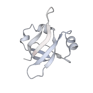 21857_6wnv_v_v1-0
70S ribosome without free 5S rRNA and with a perturbed PTC