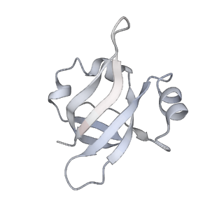 21857_6wnv_v_v1-1
70S ribosome without free 5S rRNA and with a perturbed PTC