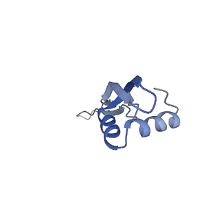 21857_6wnv_x_v1-0
70S ribosome without free 5S rRNA and with a perturbed PTC