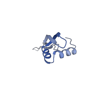 21857_6wnv_x_v1-1
70S ribosome without free 5S rRNA and with a perturbed PTC