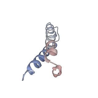 21857_6wnv_y_v1-0
70S ribosome without free 5S rRNA and with a perturbed PTC