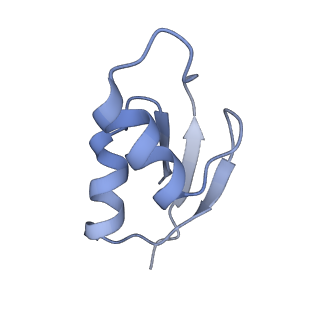 21857_6wnv_z_v1-0
70S ribosome without free 5S rRNA and with a perturbed PTC