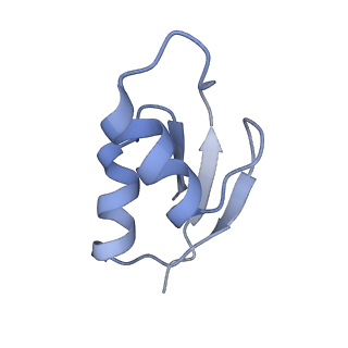 21857_6wnv_z_v1-1
70S ribosome without free 5S rRNA and with a perturbed PTC