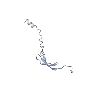 21858_6wnw_A_v1-0
Active 70S ribosome without free 5S rRNA and bound with A- and P- tRNA