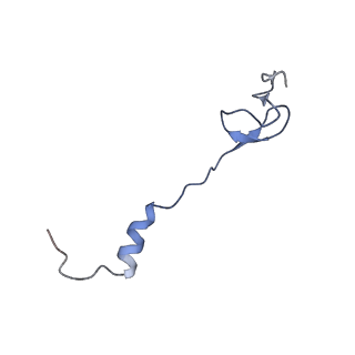 21858_6wnw_B_v1-0
Active 70S ribosome without free 5S rRNA and bound with A- and P- tRNA